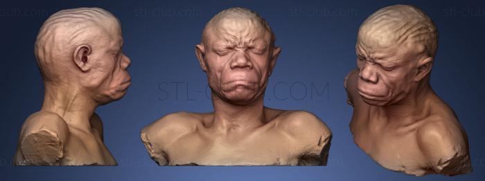 3D модель Неизвестный мужчина 17 (STL)